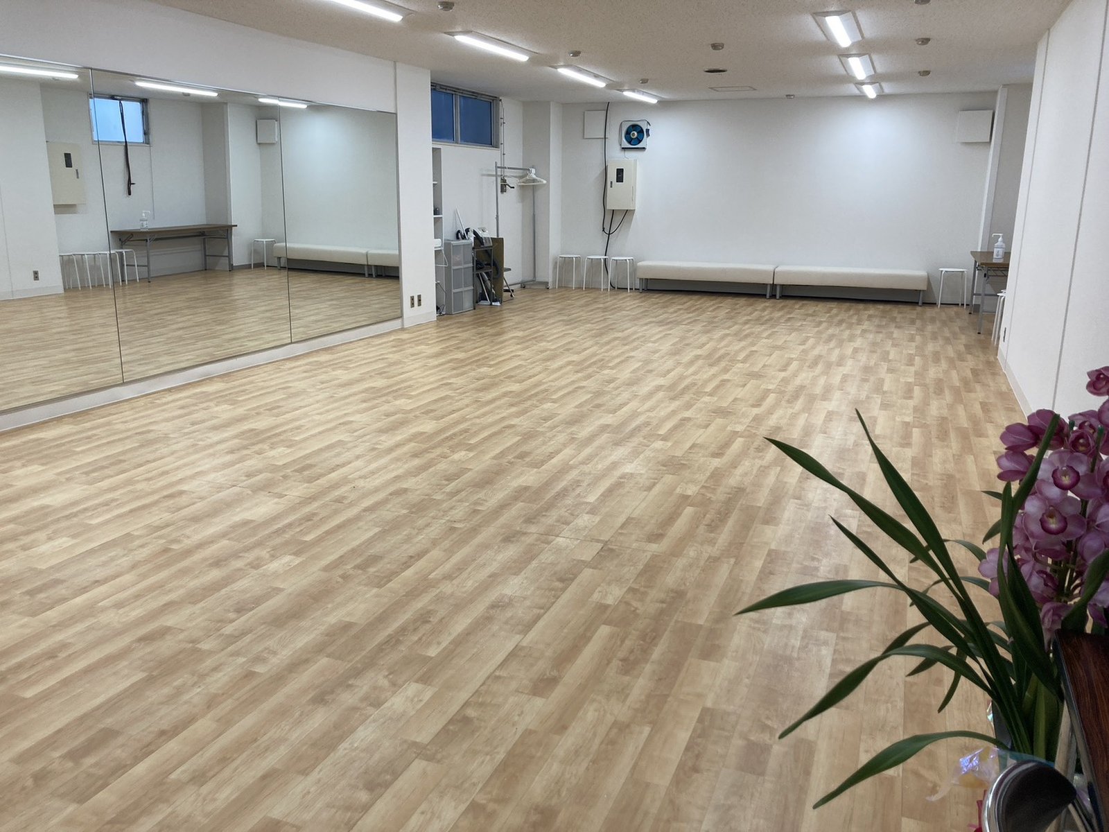 鎌倉スタジオ